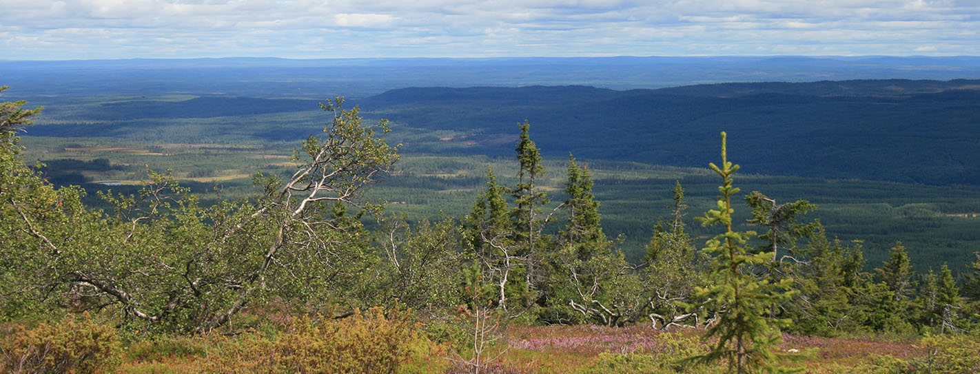 Fjällvandra i Sälen<br/>Utrustningen hittar du hos oss!